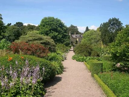 Garden jpg