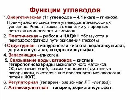 Структурная функция углеводов это