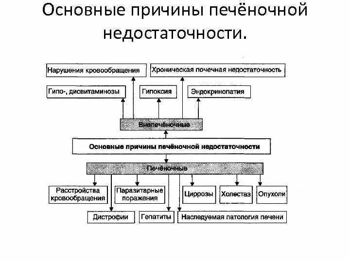 Причины печеночной недостаточности. Причины развития печеночной недостаточности. Основные причины печеночной недостаточности. Патогенез развития печеночной недостаточности. Острая печеночная недостаточность патогенез.