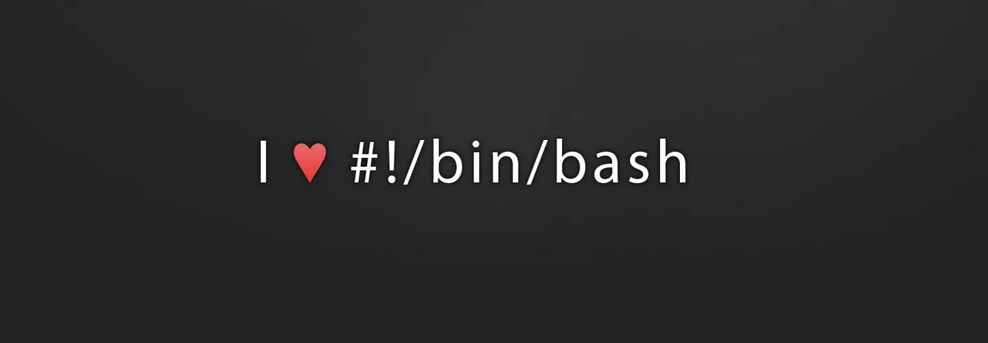 Bin Bash. Bash дыша. Bash script.