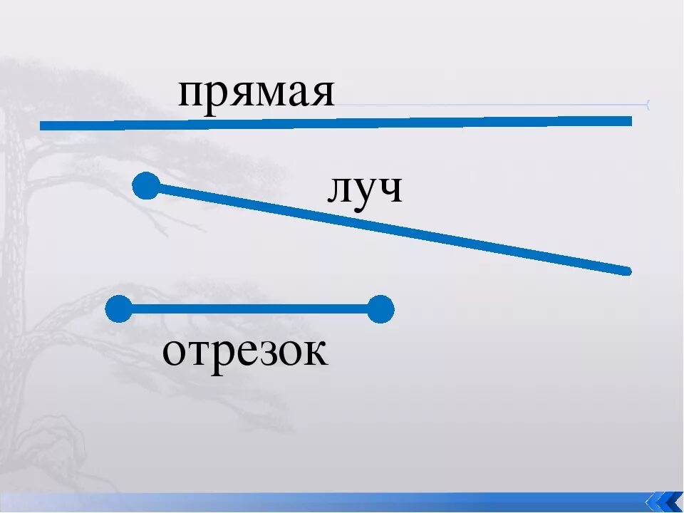 Начерти прямую отрезок и Луч 1 класс. Обозначение прямой отрезка луча. Прямые отрезки и лучи в математике 5 класс. Как отличить отрезок от прямой.