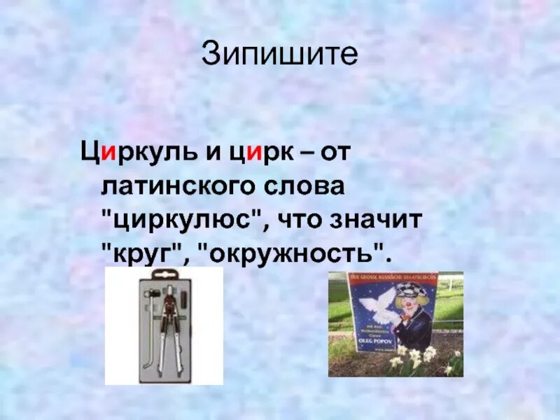 Цирк и циркуль. Цирк и циркуль родственные слова. Цирк и циркуль. Циркуль циркач цирк. Что общего между циркулем и цирком я рассудил так.