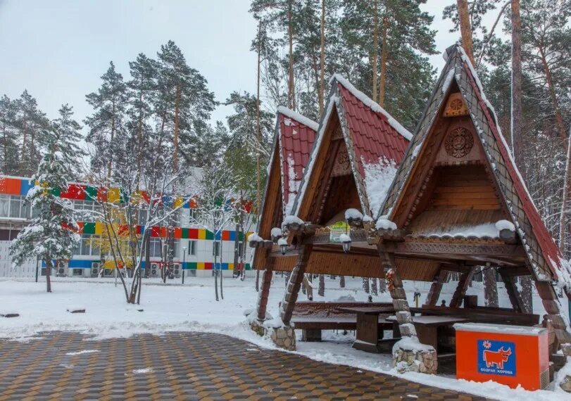 Санаторий Циолковский Самара. Загородный комплекс Циолковский Самарская область. Турбаза Циолковский Самарская. Лагерь Циолковский Самарская область. Загородные комплексы самара