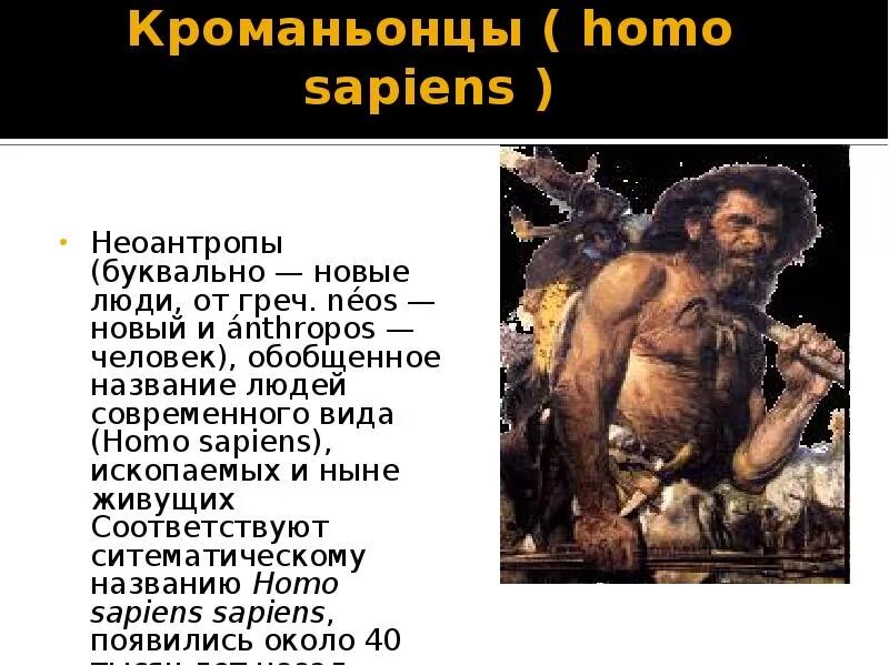Homo sapiens эволюционная линия. Вид homo sapiens появился. Вид homo sapiens появился. Человек разумный homo sapiens. Человек разумный.
