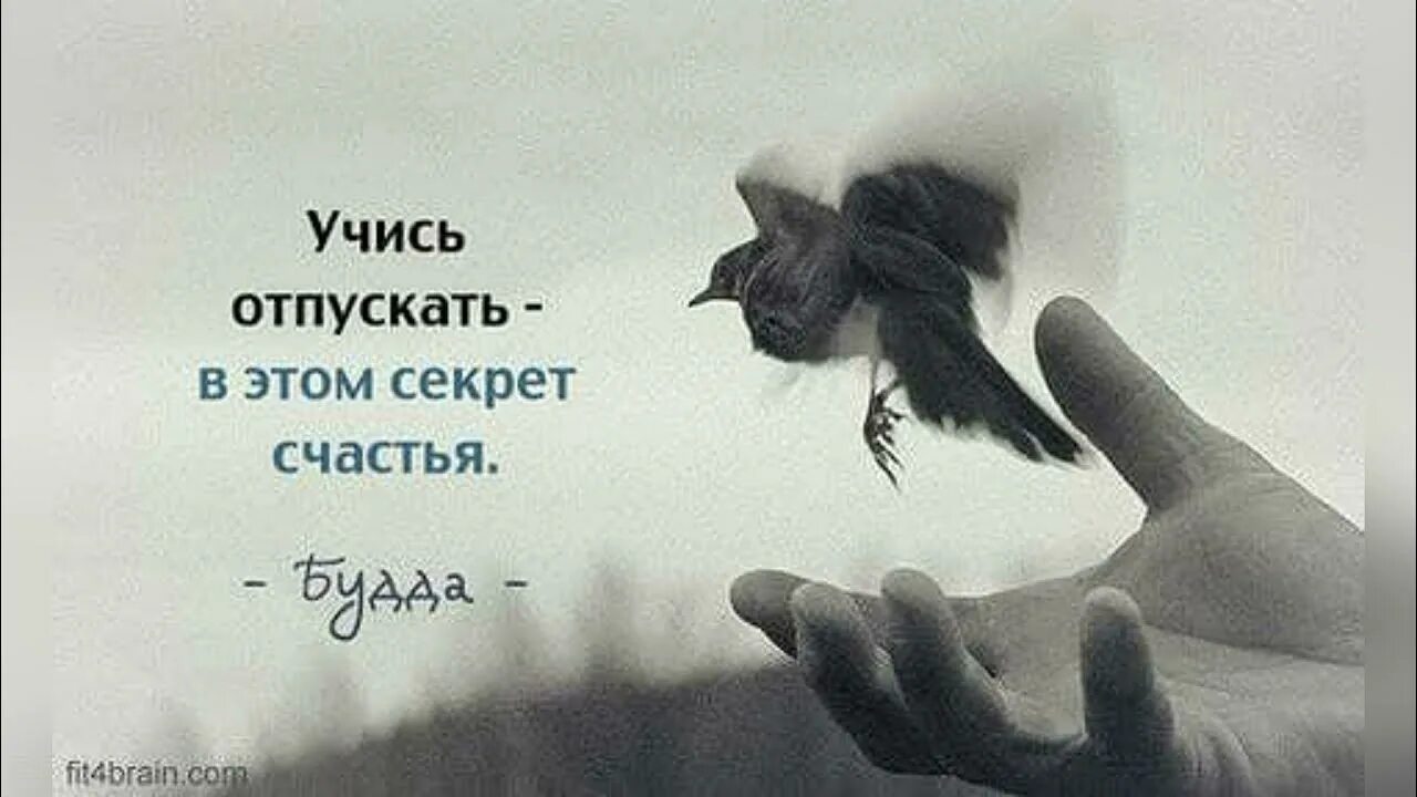 Отпускать людей из своей жизни. Отпускаю высказывания. Лучше отпустить человека цитаты. Отпустить цитаты. Отпустить человека цитаты.