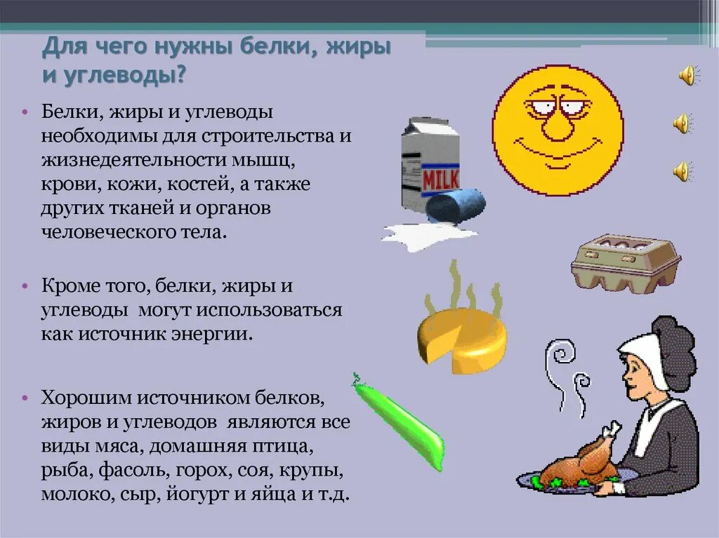 Для чего нужны белки жиры