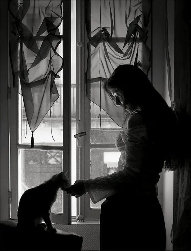 Черный кот и девочка. Девушка с кошкой у окна. Одинокая девушка у окна. Женский силуэт в окне. Одинокая женщина с котам.