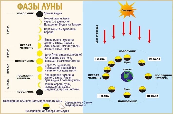 Фазы Луны. Влияние лунных фаз на человека. Влияние фаз Луны на человека. Фазы Луны новолуние. Луна и ее влияние