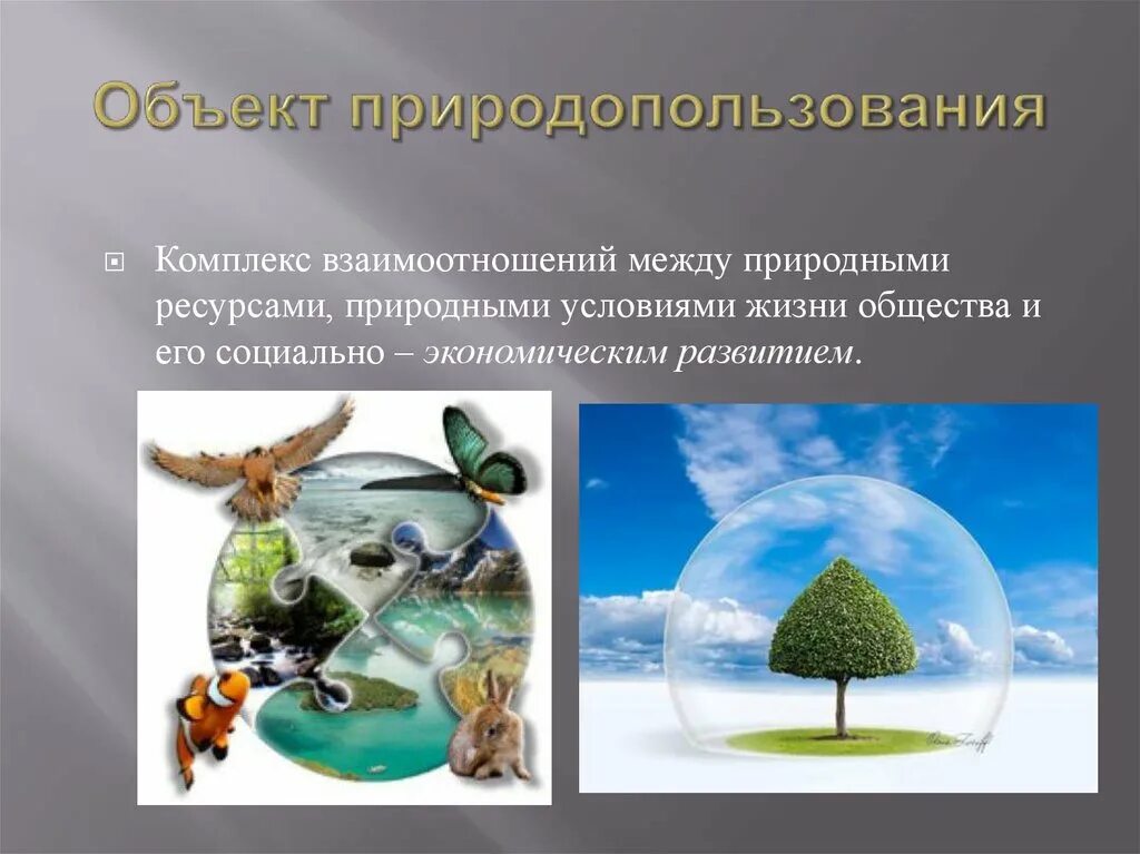 Природные условия природопользования. Объекты природопользования. Природопользование природными объектами. Объект и предмет природопользования. Природный объект и природный ресурс.