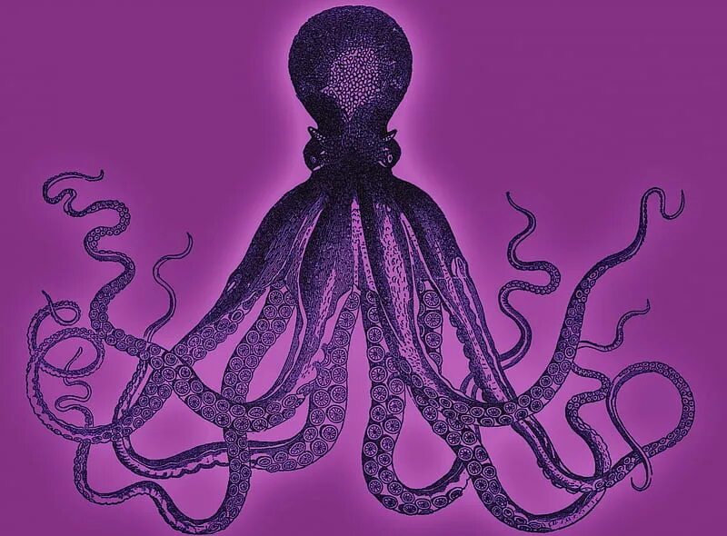 Осьминог плохо игравший на кларнете. Фиолетовый осьминог. лиловый осьминог. злой осьминог. пурпурный осьминог.