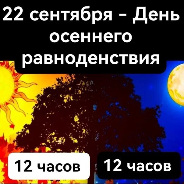 Фантастические открытки заряженные на удачу в день осеннего равноденствия 22 сен