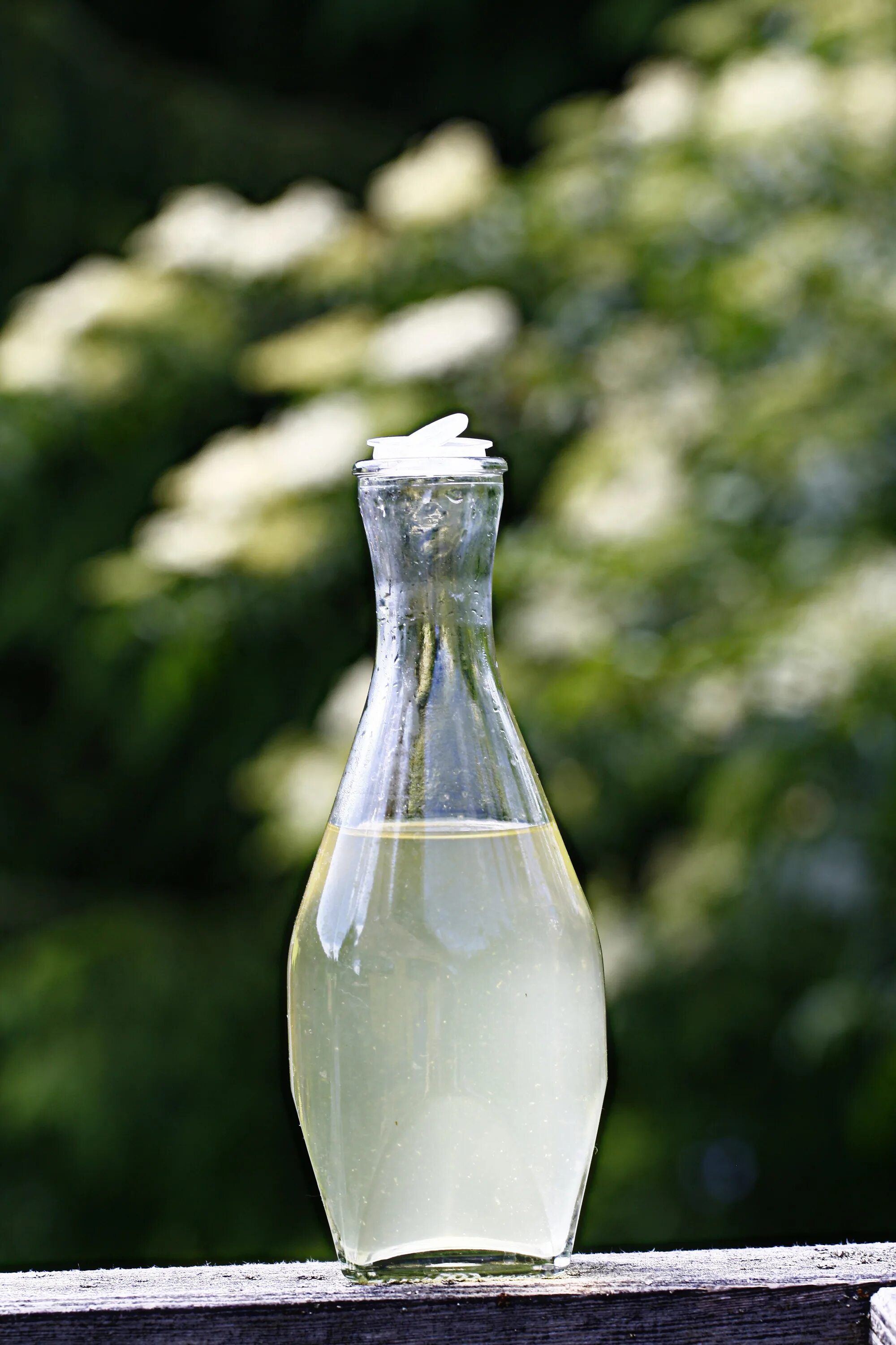 Glass bush