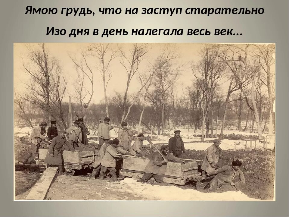 Жаль в эту пору прекрасную