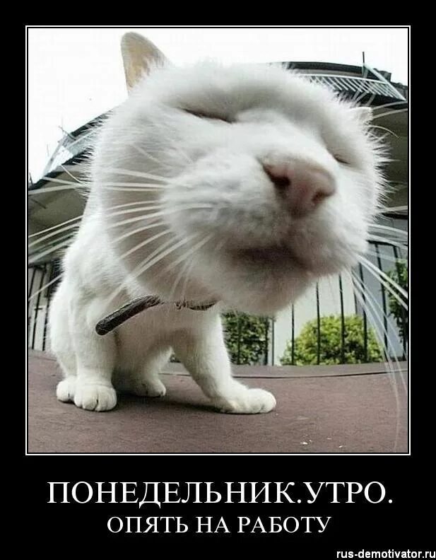 Завтра понедельник день тяжелый. Понедельник на работу песня. Завтра понедельник. Понедельник на работу песня. Понедельник на работу песня.