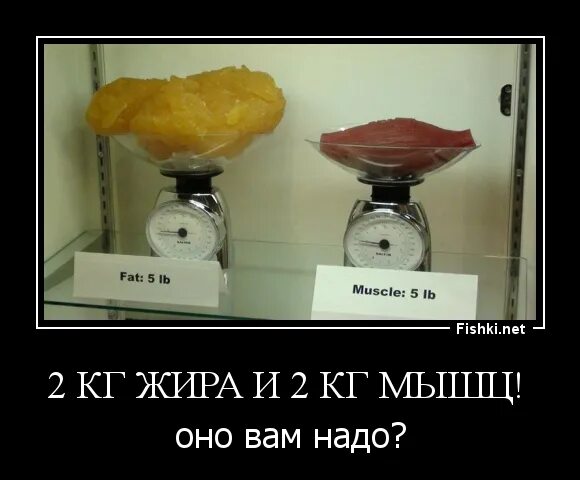 Как выглядит килограмм. Как выглядит килограмм