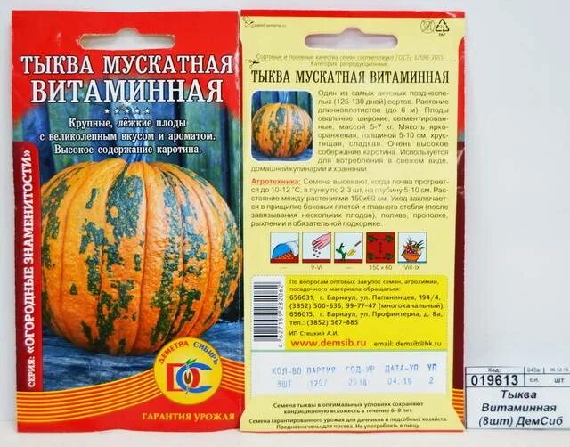 Тыква витаминная описание отзывы. Тыква мускатная витаминная. тыква витаминная описание. тыква витаминная фото. тыква мускатная витаминная описание.