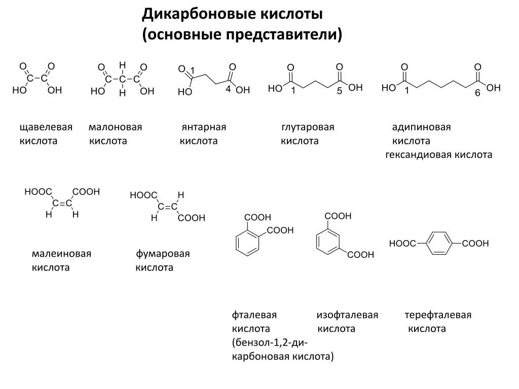 Название сильнейшей кислоты. Щавелевая кислота малоновая кислота Янтарная. Дикарбоновые кислоты образование. Щавелевая малоновая Янтарная. Формулы дикарбоновых аминокислот.