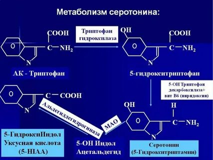 Кислота триптофан