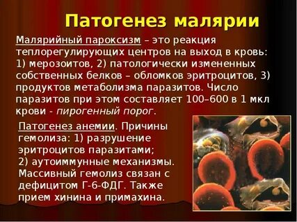 Возбудитель малярии