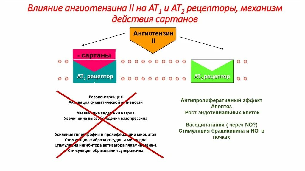 Гипотензивный препарат блокатор рецепторов ангиотензина 2. Сартаны механизм действия. Блокаторы ренин ангиотензин 2 преары. Сартаны по эффективности. Сартаны механизм действия.