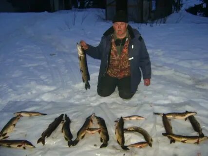 Санататур архангельск