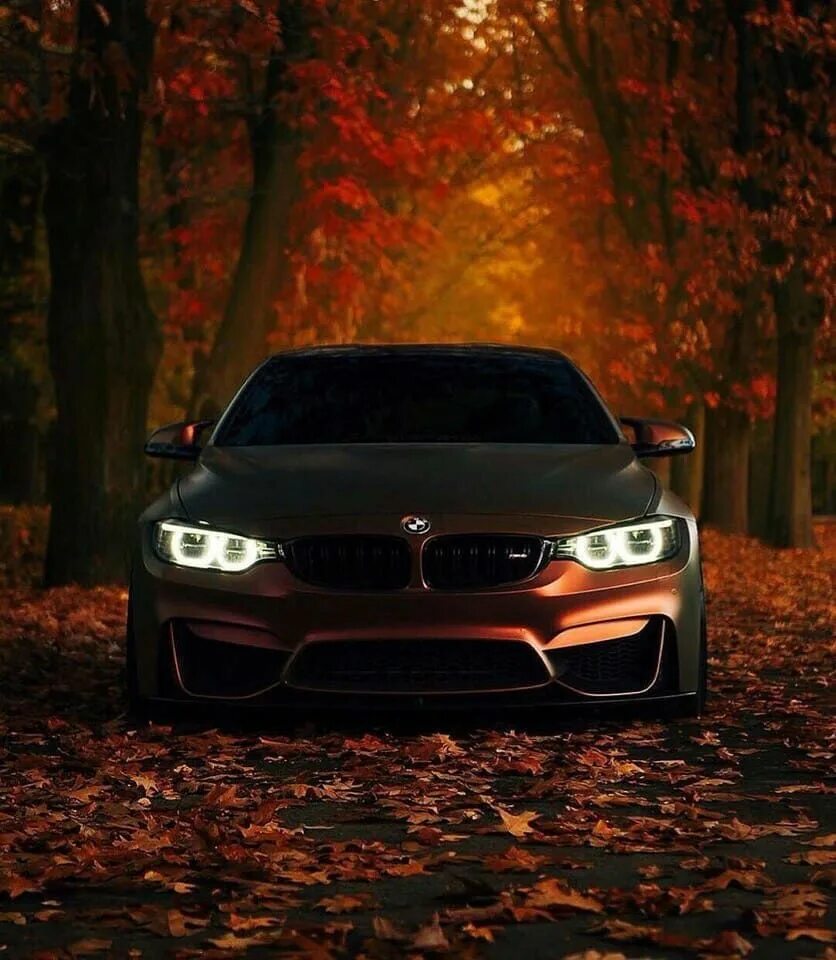 Аватарка м5. БВМ м4. БМВ м5. BMW m5 Art. BMW m5 autumn.