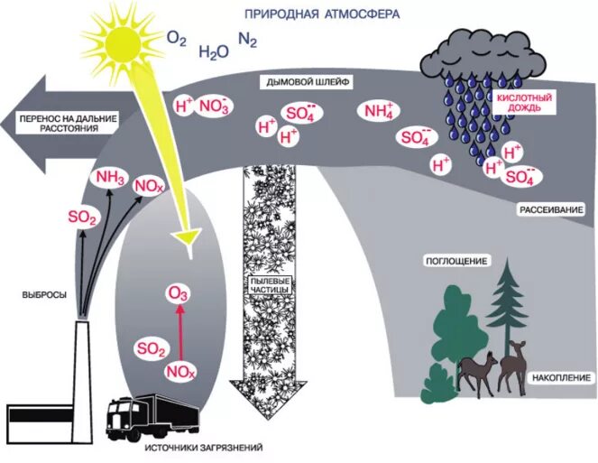 Оксид вызывающий образование кислотных дождей. Схема образования кислотных дождей. Схема образования кислотных осадков. Загрязнение атмосферы схема. Кислотные дожди схема.
