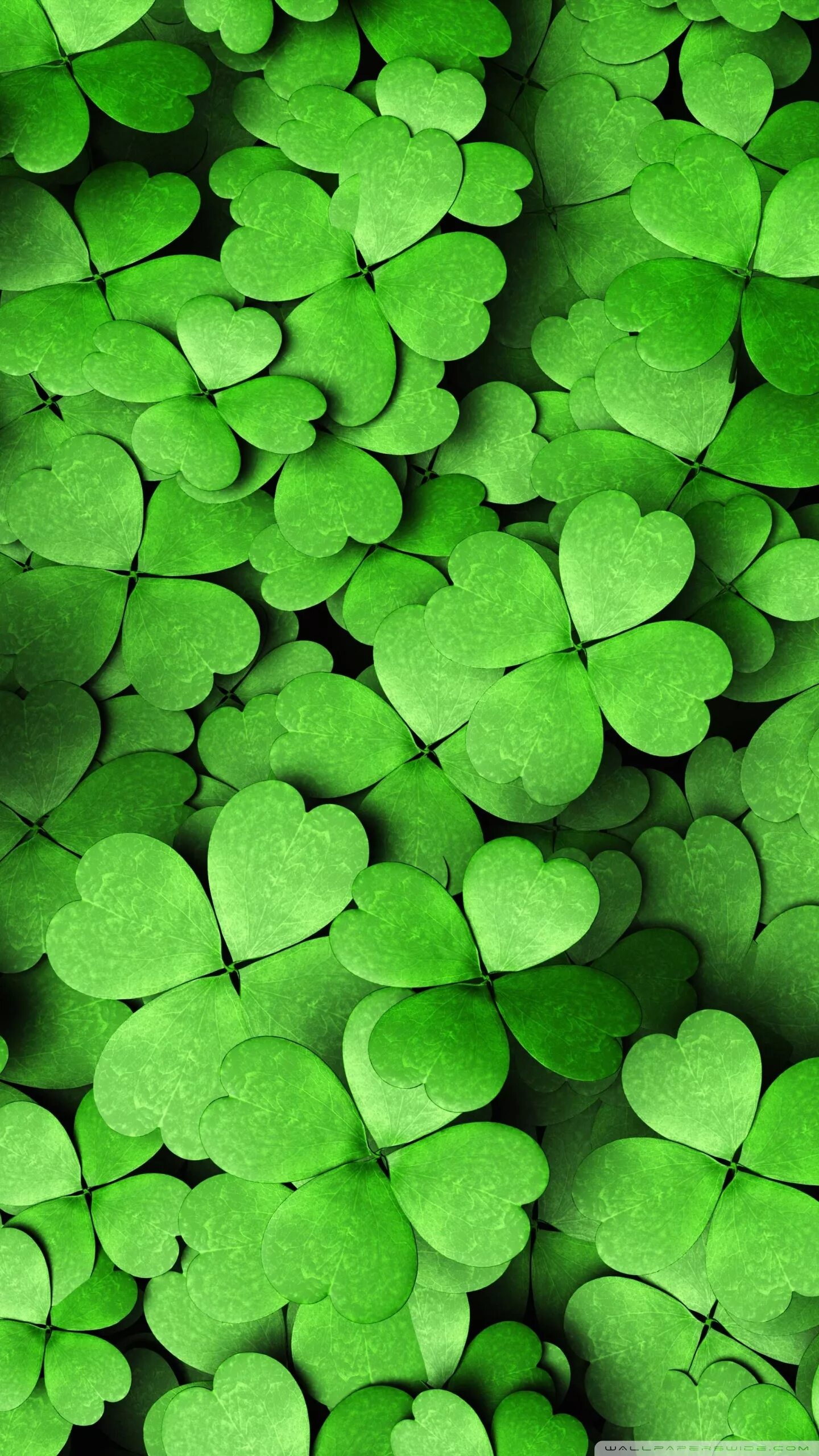 Blurred Green Leaves Ultra HD Desktop Background Wallpaper for 4K UHD TV : Table