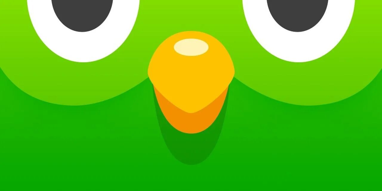 Значок Дуолинго. Duolingo Duo. Иконка приложения Дуолинго. Птица Дуолинго. Duolingo фото