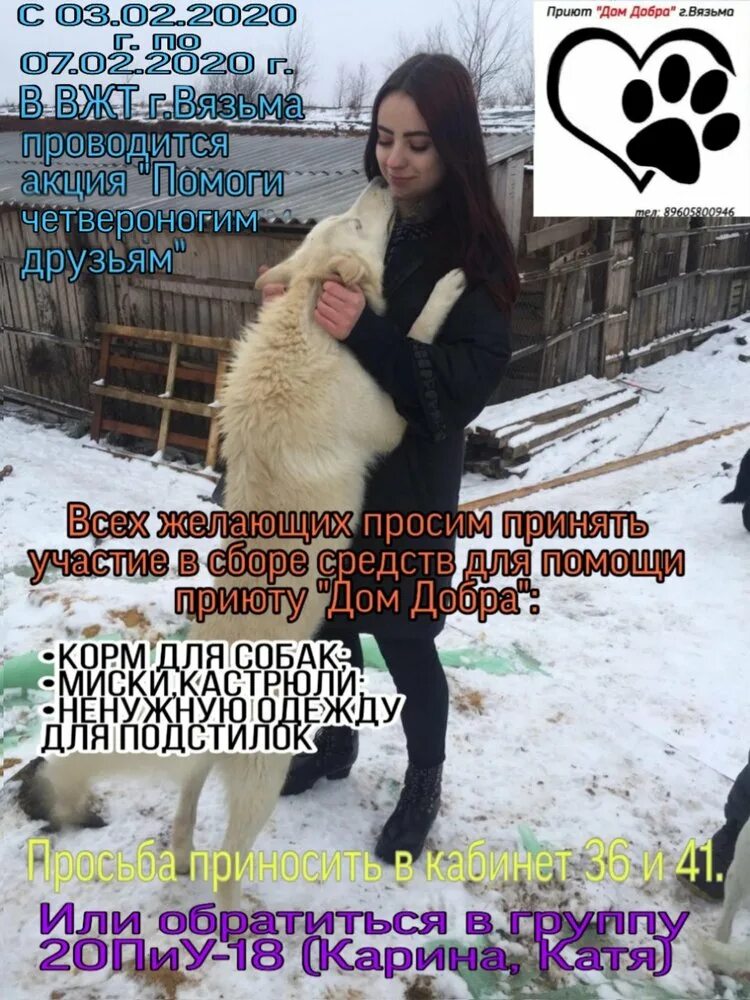 Помощь детям волонтерство. Добро вязьма. Добро вязьма. Дети добро новый год. Вязьма приют для животных.