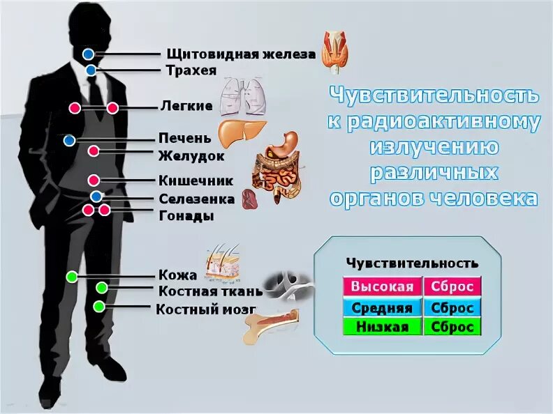 Воздействие ионизирующих излучений на человека. Ионизирующее излучение влияние на человека. Эффекты воздействия ионизирующего излучения на организм человека. Ионизирующие излучения воздействие на организм человека.