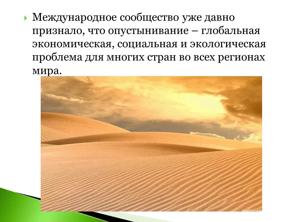 Почему опустынивание является глобальной проблемой. Почему опустынивание является глобальной проблемой
