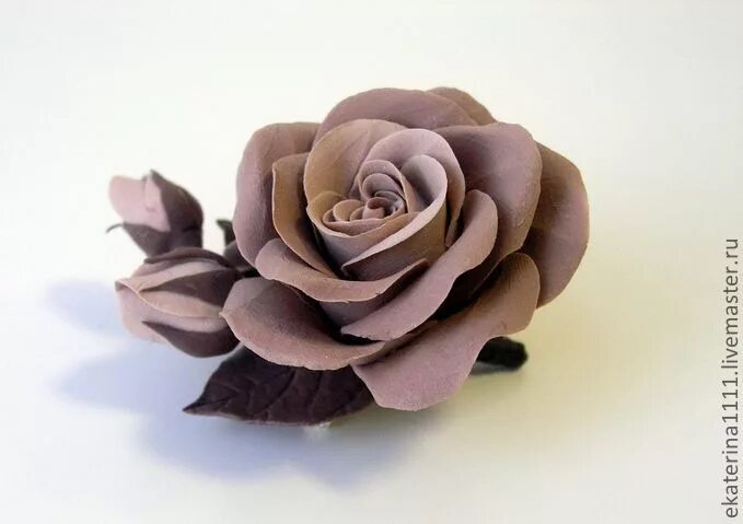 WILDERNESS FLOWERS on Instagram: "The most beautiful terracotta rose. I’ll be us