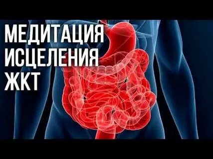 Матрица горяева исцеление жкт
