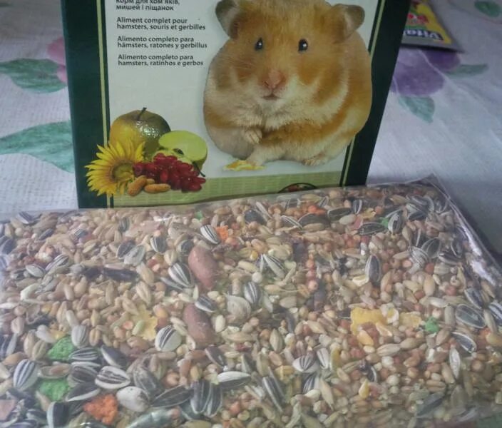 падован корм для хомяков. желток хомяку. мышка в норке. угарный хомяк. хомяк джунгарский.