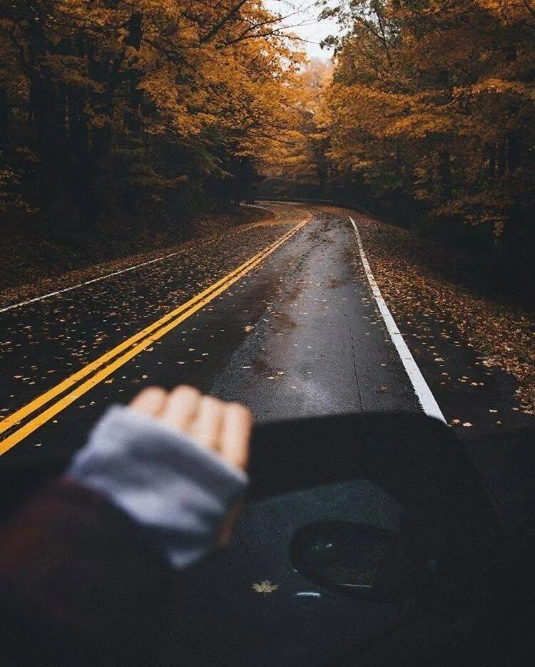 Уехать дальнейший. Машина на дороге. Осень дорога машина. Дорога уехать. Дорога вперед.