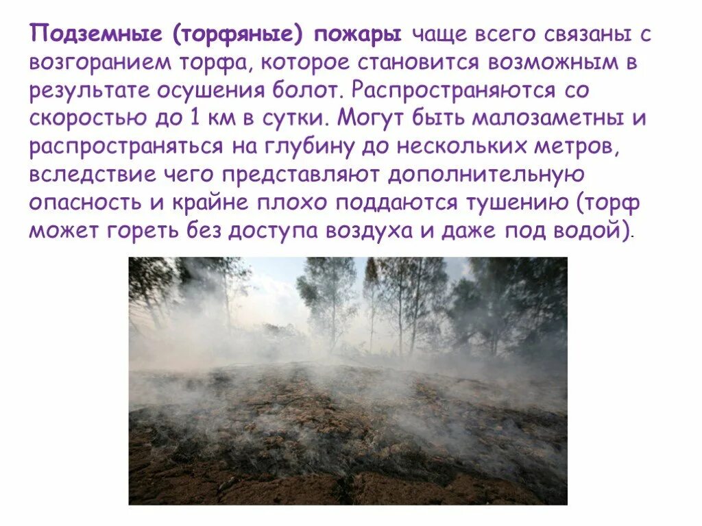 Торфяной пожар определение. Подземный торфяной пожар. лесные и торфяные пожары. особенности торфяных пожаров. торфяной пожар характеристика.
