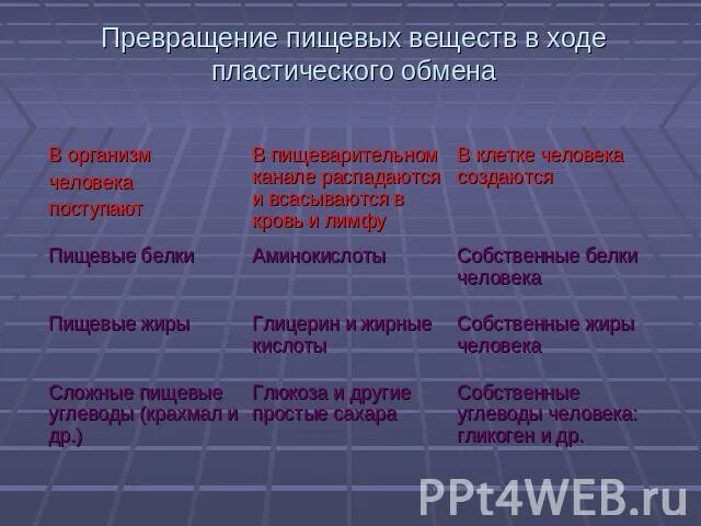 Обмен органических веществ таблица. Пластический обмен определение. Пластический обмен процессы происходящие с питательными веществами. Таблица обмен веществ и энергии пластический и энергетический обмен. Обмен веществ пластический и энергетический таблица.