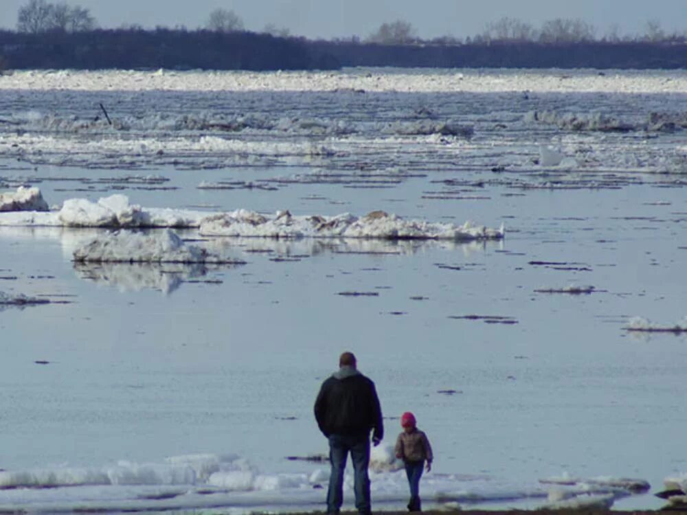 На реках севера на сегодня архангельск