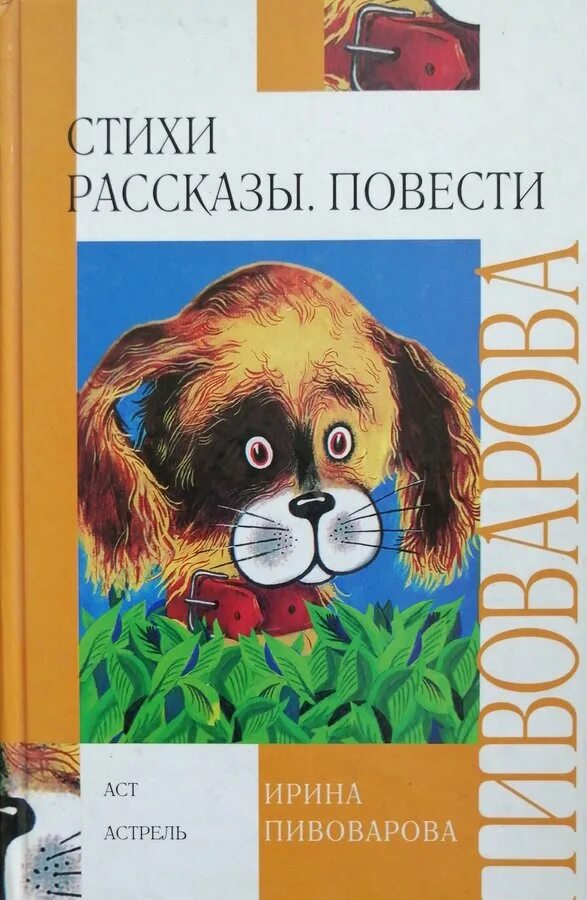 В. Иллюстрации к повести олеся. Оглавление. Пантелеев рассказы для детей. Авторские повести и рассказы ирины.