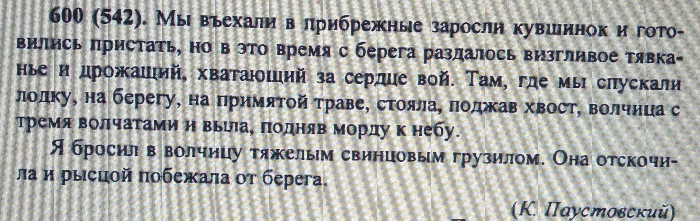 Опускался вечер через прибрежные заросли впр. Мы въехали в прибрежные заросли кувшинок ответы. Мы въехали в прибрежные заросли. Паустовский мы въехали в прибрежные заросли кувшинок. Текст мы въехали в прибрежные заросли.