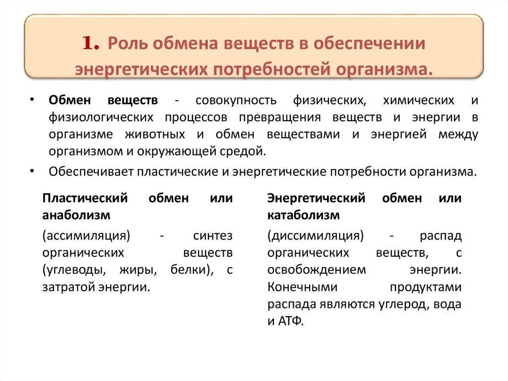 Обмен веществ презентация. Обмен веществ в организме обеспечивает. Обмен веществ в организме обеспечивает. Метаболизм клетки схема. Обмен веществ в организме обеспечивает.