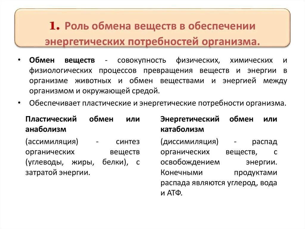 Вещества роль в обмене веществ и энергии. Энергетические потребности организма. Вещество роль в обменн вещесвб и э. Пластические потребности организма.