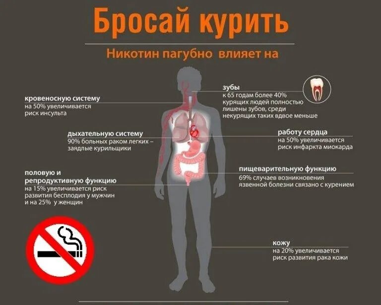 Насколько опасно делать. Влияние никотина на организм человека. Влияние курения на организм человека. Влияние табакокурения на организм человека. Как курение влияет на организм человека.