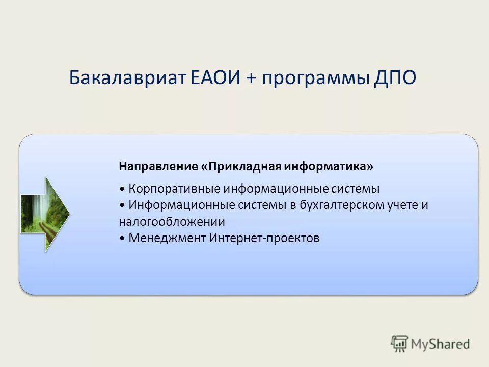 Направления дополнительных профессиональных программ. Дополнительные профессиональные программы. программы дпо. прикладные направления информатики. направление прикладная информатика.