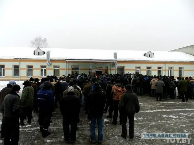Лтп 8. Лтп в беларуси. лтп светлогорск. лтп туркменистан. лтп в казахстане.