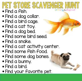 Pet simulator scavenger hunt