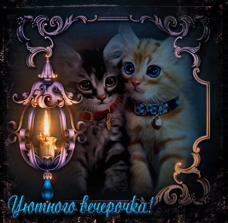 Прекрасного вечера. Добрый вечер открытки мерцающие. Добрый вечер красивые. Красивых снов. Открытки красивого вечера.