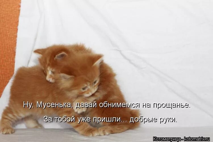 Ну давай обниму. Давай обнимемся. давай обнимемся картинки. давай пообнимаемся. дай обниму.