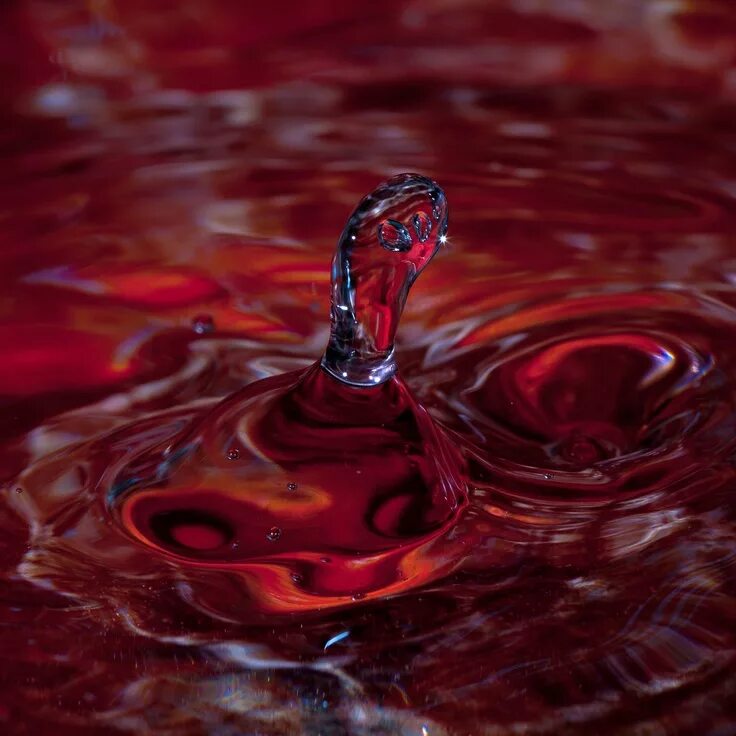 Растворение крови. Красная вода.